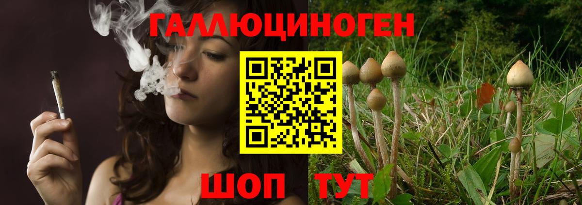 Псилоцибиновые грибы GOLDEN TEACHER  Вход с VPN  Рославль 